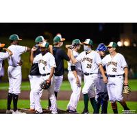 Joliet Slammers and NERDS Herd exchange elbow bumps