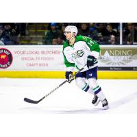 Maine Mariners defenseman Nate Kallen