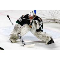 Utah Grizzlies goaltender Brad Barone