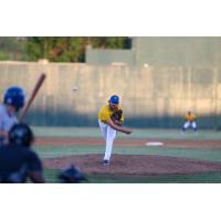 Sioux Falls Canaries pitcher Tyler Herron