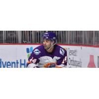 Orlando Solar Bears forward Matt Alvaro