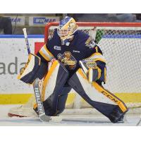 Goaltender Daniel Murphy with the Erie Otters