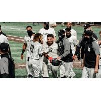 Milwaukee Milkmen mob Christian Correa following his walk off homer