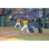 Clint Coulter at bat for the Sioux Falls Canaries