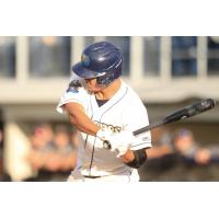 Fond du Lac Dock Spiders at the plate