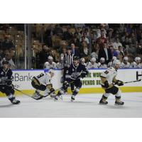 Defenseman Anthony Florentino with the Worcester Railers