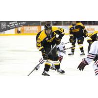 Forward Christopher Wilkie with Colorado College