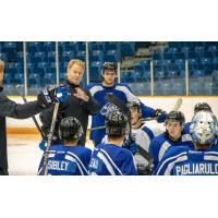 Saint John Sea Dogs 2020 training camp