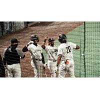 Milwaukee Milkmen outfielder Adam Brett Walker receives congratulations from teammates