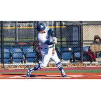 Infielder Anthony Palermo with St. Joseph's College in Brooklyn