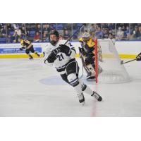 Forward Jonathan Desbiens with Bentley