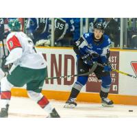 Saint John Sea Dogs in preseason action vs. the Halifax Mooseheads