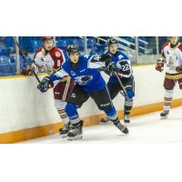 Saint John Sea Dogs in preseason action