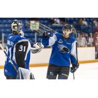 Saint John Sea Dogs in preseason action