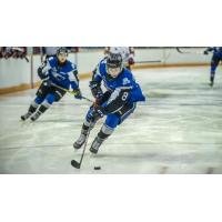 Saint John Sea Dogs in preseason action