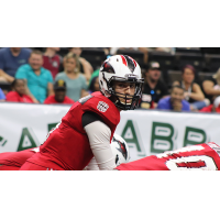 Jacksonville Sharks quarterback Mike Fafaul