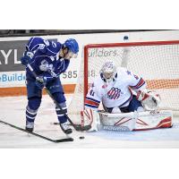 Rochester Americans goaltender Michael Houser