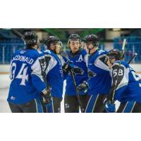 Saint John Sea Dogs huddle