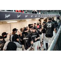 Milwaukee Milkmen exchange high fives in the dugout