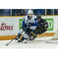 Saint John Sea Dogs vs. the Cape Breton Eagles