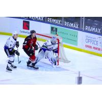 Vancouver Giants left wing Zach Ostapchuk (10) in front of the Victoria Royals goal