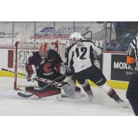 Vancouver Giants centre Adam Hall vs. the Prince George Cougars