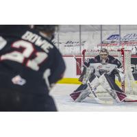 Vancouver Giants goaltender Trent Miner faces the Prince George Cougars