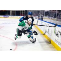 Texas Stars left wing Anthony Louis vs. the Colorado Eagles