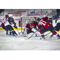 Vancouver Giants goaltender Trent Miner vs. the Prince George Cougars