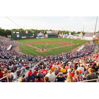 The crowd at Hadlock Field, home of the Portland Sea Dogs
