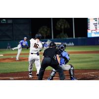 Charleston RiverDogs infielder Curtis Mead at the plate
