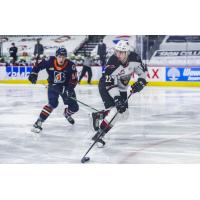 Vancouver Giants defenceman Connor Horning vs. the Kamloops Blazers