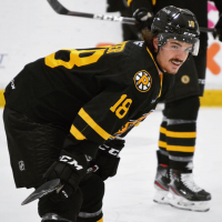 Forward Alex-Olivier Voyer with the Providence Bruins