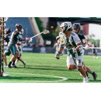 Redwoods attackman Rob Pannell
