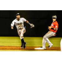 Tyler Tolbert of the Columbia Fireflies in the field vs. the Charleston RiverDogs