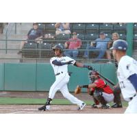 Tri-City Dust Devils with a big swing