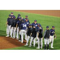 Somerset Patriots exchange congratulations after a win