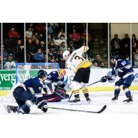 Maine Mariners battle the Worcester Railers