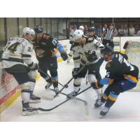 Wheeling Nailers fight for the puck vs. the Toledo Walleye
