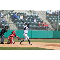 Tri-City Dust Devils shortstop Kyren Paris