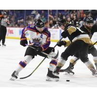 Reading Royals forward Thomas Ebbing vs. the Newfoundland Growlers