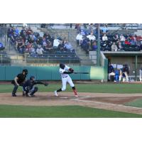 Tri-City Dust Devils at the plate