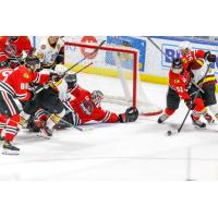 Rockford IceHogs goaltender Arvid Soderblom protects the net