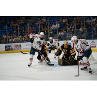 Springfield Thunderbirds look for a shot against the Wilkes-Barre/Scranton Penguins