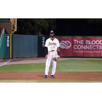 Charleston RiverDogs infielder Gionti Turner