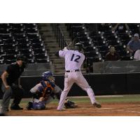 Tampa Tarpons center fielder Jasson Dominguez