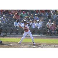 Leosdany Molina of the Fayetteville Woodpeckers