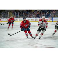 Springfield Thunderbirds center Nathan Todd (left) vs. the Charlotte Checkers