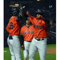 Zorros de Somerset react after Rodolfo Duran's home run