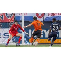 Indy Eleven goalkeeper Elliot Panicco